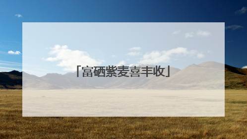 富硒紫麦喜丰收