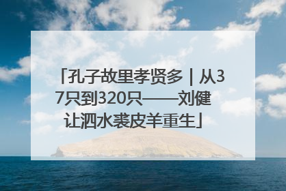 孔子故里孝贤多｜从37只到320只——刘健让泗水裘皮羊重生