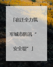 宿迁全力筑牢城市防汛“安全堤”