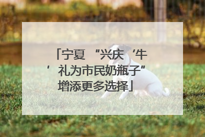 宁夏 “兴庆‘牛’礼为市民奶瓶子”增添更多选择