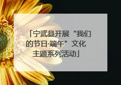 宁武县开展“我们的节日·端午”文化主题系列活动