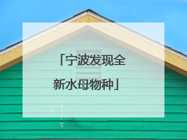 宁波发现全新水母物种