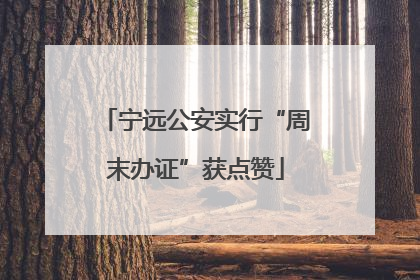 宁远公安实行“周末办证”获点赞