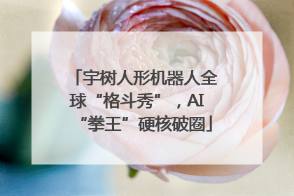 宇树人形机器人全球“格斗秀”，AI“拳王”硬核破圈