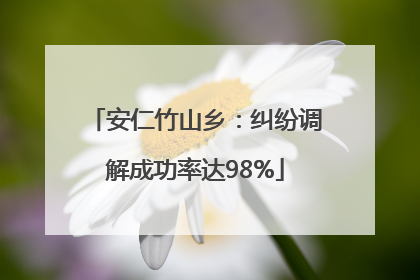 安仁竹山乡：纠纷调解成功率达98%