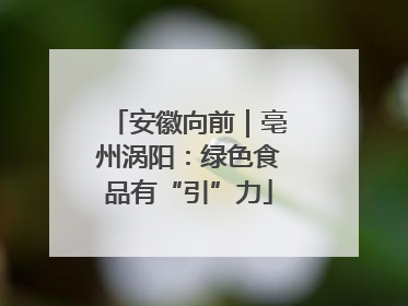 安徽向前｜亳州涡阳：绿色食品有“引”力