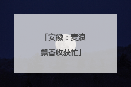 安徽：麦浪飘香收获忙