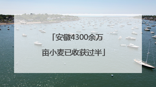 安徽4300余万亩小麦已收获过半