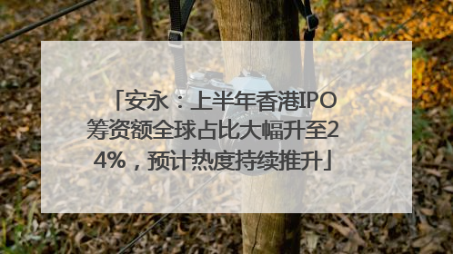 安永：上半年香港IPO筹资额全球占比大幅升至24%，预计热度持续推升