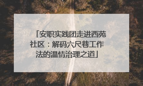 安职实践团走进西苑社区：解码六尺巷工作法的温情治理之道
