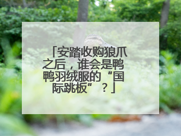 安踏收购狼爪之后，谁会是鸭鸭羽绒服的“国际跳板”？