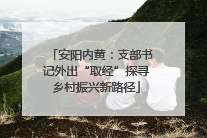 安阳内黄：支部书记外出“取经”探寻乡村振兴新路径