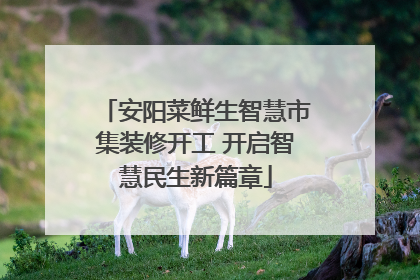 安阳菜鲜生智慧市集装修开工 开启智慧民生新篇章