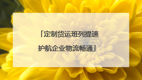 定制货运班列提速 护航企业物流畅通