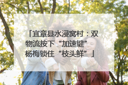 宜章县水浸窝村：双物流按下“加速键” 杨梅锁住“枝头鲜”