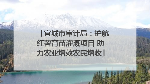 宜城市审计局：护航红薯育苗灌溉项目 助力农业增效农民增收