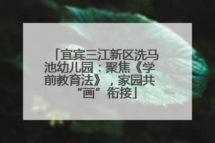 宜宾三江新区洗马池幼儿园：聚焦《学前教育法》，家园共“画”衔接