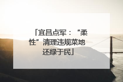 宜昌点军：“柔性”清理违规菜地 还绿于民