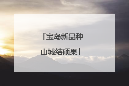 宝岛新品种 山城结硕果