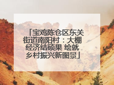 宝鸡陈仓区东关街道南阳村：大棚经济结硕果 绘就乡村振兴新图景