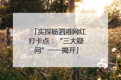 实探杨泗港网红打卡点：“三大疑问”一一揭开