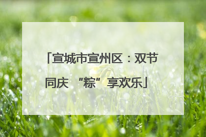 宣城市宣州区：双节同庆 “粽”享欢乐