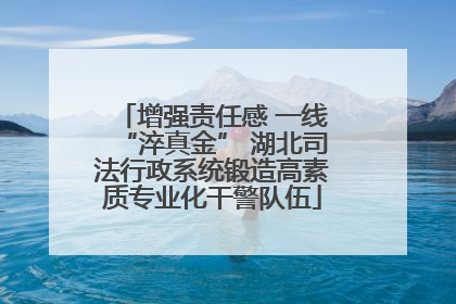 增强责任感 一线“淬真金” 湖北司法行政系统锻造高素质专业化干警队伍