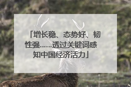 增长稳、态势好、韧性强……透过关键词感知中国经济活力