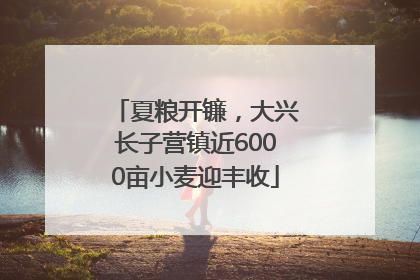 夏粮开镰，大兴长子营镇近6000亩小麦迎丰收