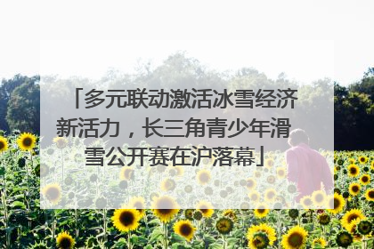 多元联动激活冰雪经济新活力，长三角青少年滑雪公开赛在沪落幕