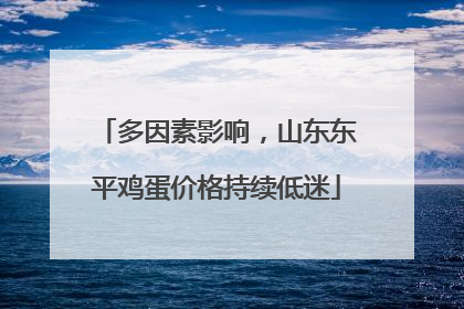 多因素影响，山东东平鸡蛋价格持续低迷