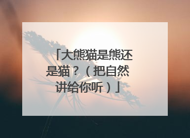 大熊猫是熊还是猫？（把自然讲给你听）