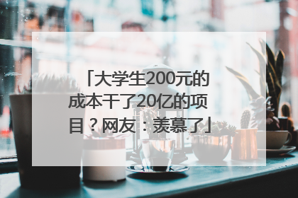大学生200元的成本干了20亿的项目？网友：羡慕了