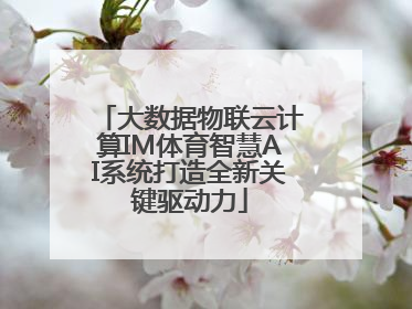大数据物联云计算IM体育智慧AI系统打造全新关键驱动力