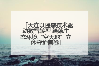 大连以遥感技术驱动数智转型 绘就生态环境“空天地”立体守护画卷