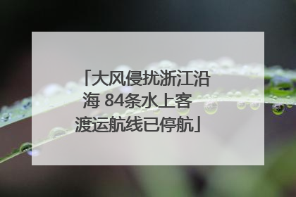 大风侵扰浙江沿海 84条水上客渡运航线已停航