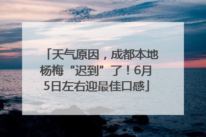 天气原因，成都本地杨梅“迟到”了！6月5日左右迎最佳口感