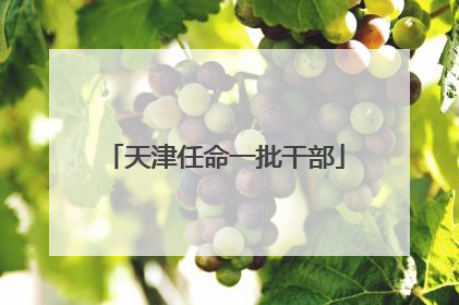 天津任命一批干部