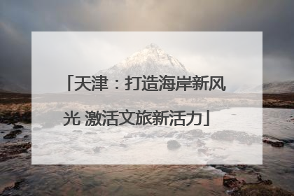 天津：打造海岸新风光 激活文旅新活力