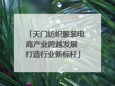 天门纺织服装电商产业跨越发展 打造行业新标杆