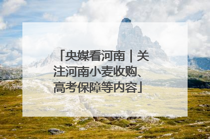 央媒看河南｜关注河南小麦收购、高考保障等内容