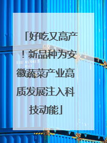 好吃又高产！新品种为安徽蔬菜产业高质发展注入科技动能
