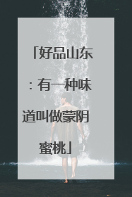 好品山东：有一种味道叫做蒙阴蜜桃