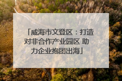 威海市文登区：打造对非合作产业园区 助力企业抱团出海