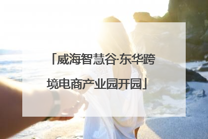 威海智慧谷·东华跨境电商产业园开园