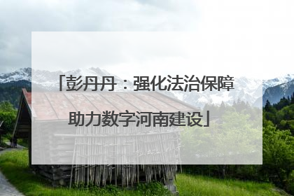 彭丹丹：强化法治保障 助力数字河南建设
