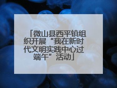 微山县西平镇组织开展“我在新时代文明实践中心过端午”活动