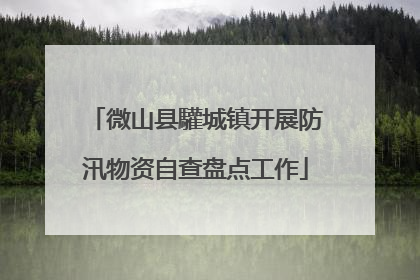 微山县驩城镇开展防汛物资自查盘点工作
