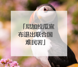 尼加拉瓜宣布退出联合国难民署