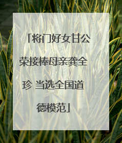 将门好女甘公荣接棒母亲龚全珍 当选全国道德模范